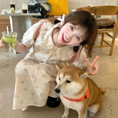 嫁给我契约