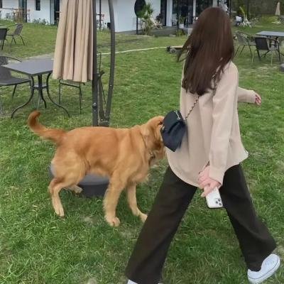 视觉侦探日暮旅人